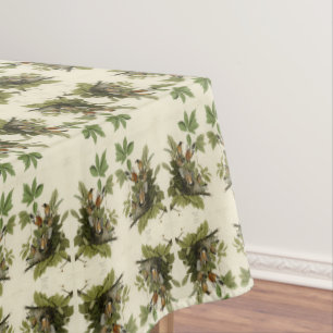 Mantel Robin estadounidense de los pájaros de América de 