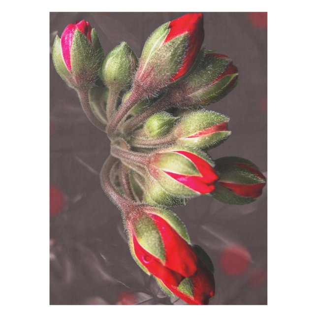 Mantel Sangre De Tablero Rojo Y Oscuro (Anverso)