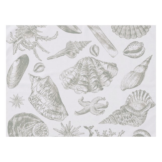 Mantel Seashell Soft Antique Art Beach Shells (Frente (Horizontal))