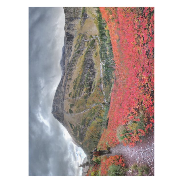 Mantel Sendero Swiftcurry Pass - Parque Nacional Glacier (Anverso)