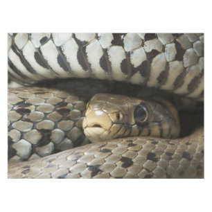 Mantel Serpiente