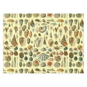 Mantel Shell de conchas marinas Mollusk Clam Elegante Art