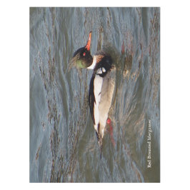 Mantel Sopa de Merganser de pecho rojo