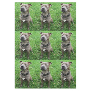 Mantel Staffordshire Bull Terrier Sentado Atento,
