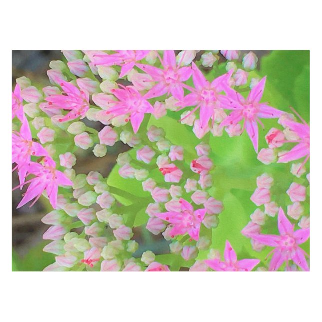 Mantel Suculento sedum rosa caliente con hojas verdes flo (Frente (Horizontal))