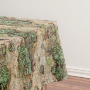 Mantel Sycamore Tree Bark Moss Lichen