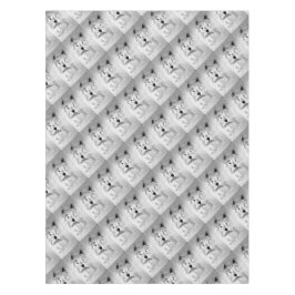 Mantel Territorio Blanco de la región montañosa occidenta