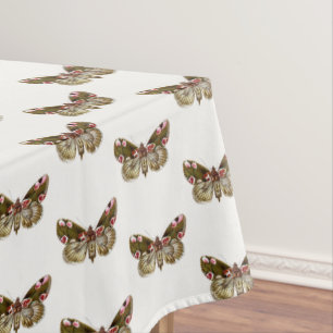 Mantel Thyatira batis - La polilla de la flor de la pluma