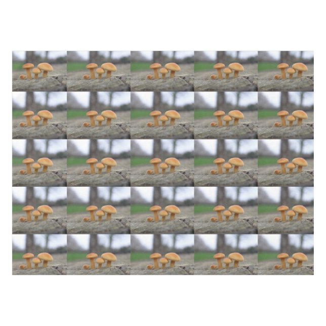 Mantel Toadstools Macrotablosos (Frente (Horizontal))