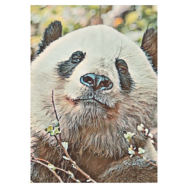 Mantel toony panda (Anverso)