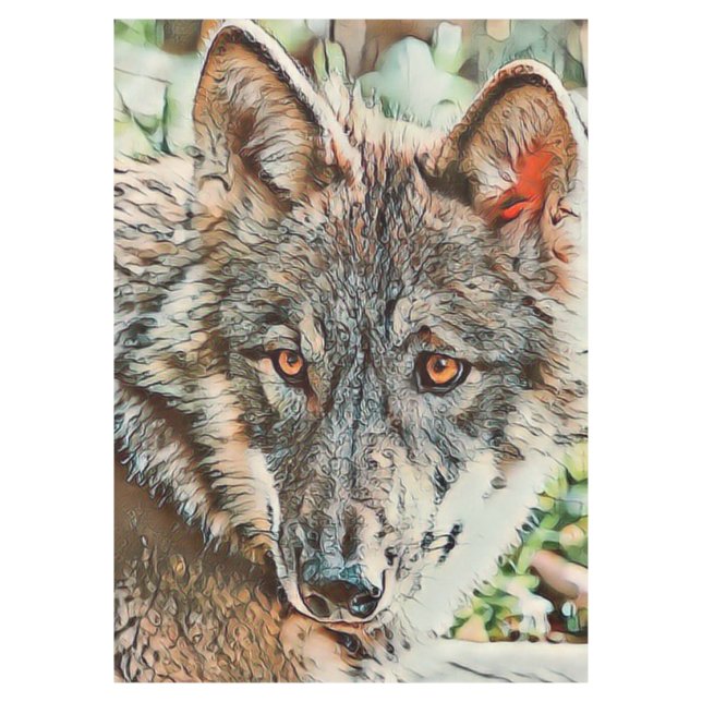 Mantel toony wolf (Anverso)