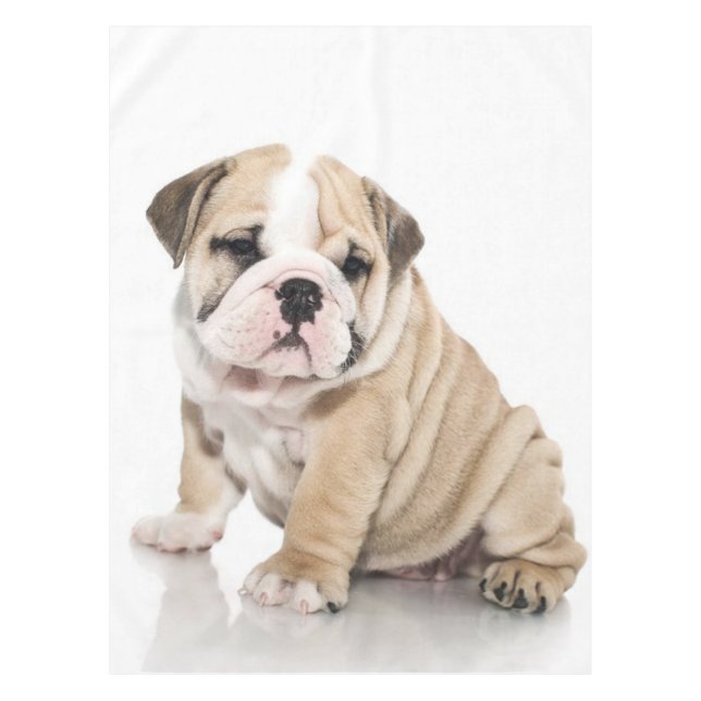Mantel Triste Bulldog de cachorros (Anverso)