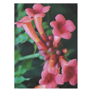 Mantel Trompeta rosada Castillo de Honeysuckle Arte Botán