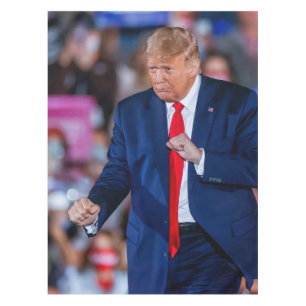 Mantel Trump Dance Funny