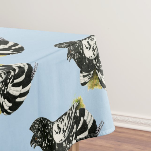 Mantel Trumpeter Pigeon Dark Splash (In Situ)