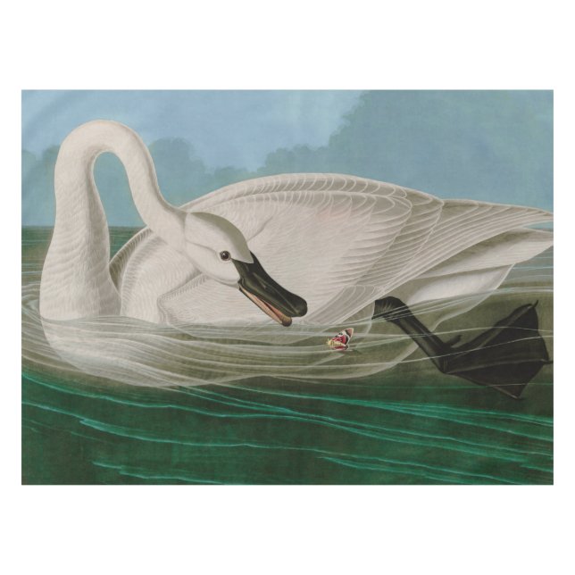 Mantel Trumpeter Swan Birds of America Audubon Print (Frente (Horizontal))