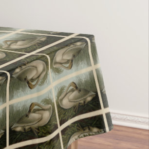 Mantel Trumpeter Swan - de los pájaros de Estados Unidos 