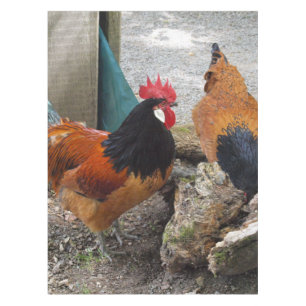 Mantel Una pareja de pollos Vorwerks, gallo y gallina com