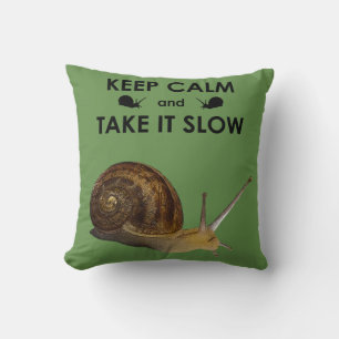 Mantén la Calma y Tómalo Despacio Almohada (Verde)