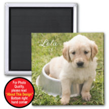 Mantener el imán con foto