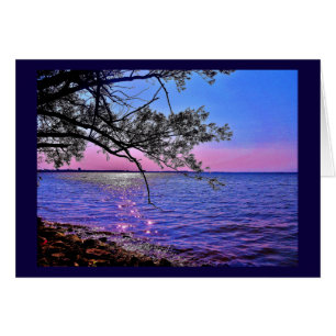 Mantener en contacto