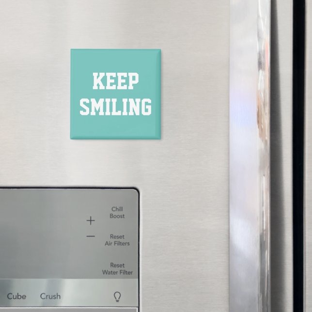 Mantener imán blanco verde azulado y sonriente (In situ (nevera))