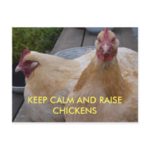 Mantener la calma y aumentar la tarjeta postal del