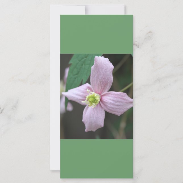 mantener la calma y seguir leyendo, flor de jardín (Anverso)