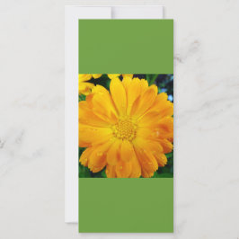 mantener la calma y seguir leyendo, marcador de ma