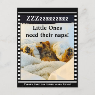 Mantenga el nivel de ruido bajo en su tarjeta post