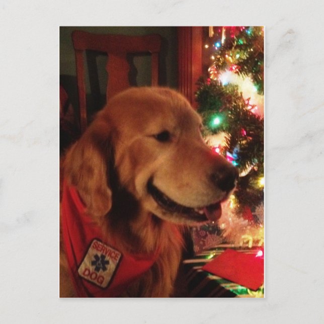 Mantenga la postal del navidad de Jonah del perro (Anverso)