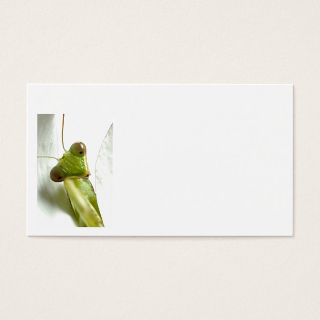 Mantis (Frente)