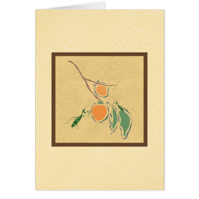 Mantis religiosa (Frente)