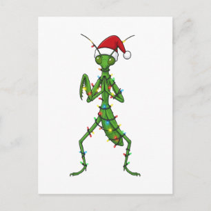 Mantis religiosa Navidad Insecto Bug