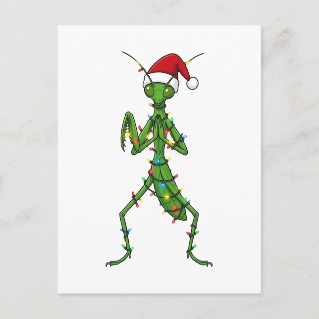 Mantis religiosa Navidad Insecto Bug (Anverso)