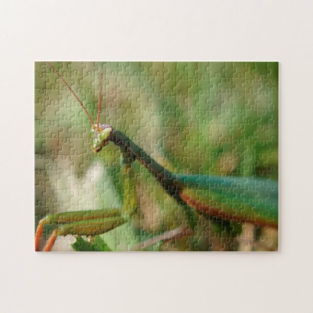 Mantis religiosa, rompecabezas de la foto 11x14 (Horizontal)
