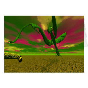 Mantis rezando