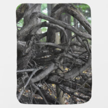 Amor a un árbol caído