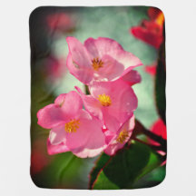 Flores rosadas suaves