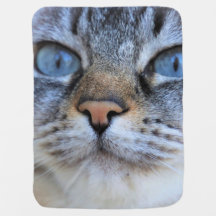 Gato gris