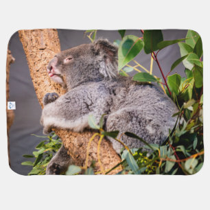 Mantita Para Bebé Pequeña koala dulce