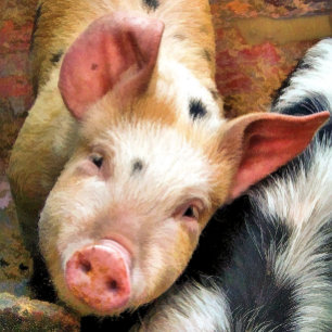 MANTITA PARA BEBÉ PIG