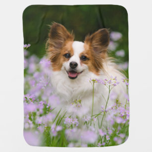 Mantas Perro Aguas Para Bebes Zazzle Es