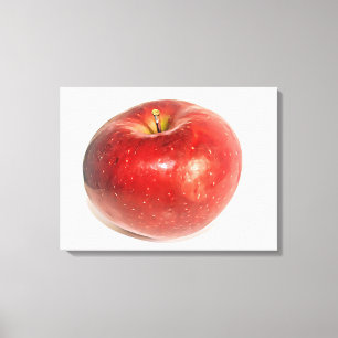Manzana Roja Madura Arte Ilustrado