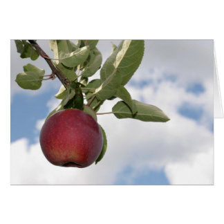 Manzana y nubes - tarjeta en blanco del otoño