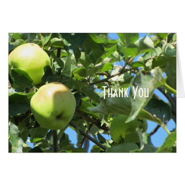 Manzanas de verano (Anverso (Horizontal))