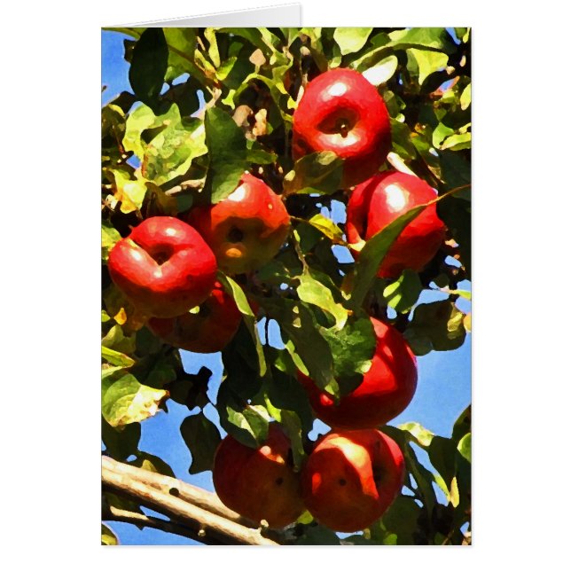 Manzanas rojas (Frente)