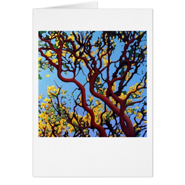 Manzanita in Autumn (Frente)