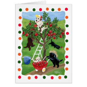 Manzano Labradors (punto)