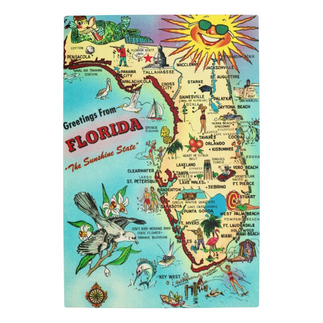 Mapa de Florida 20x30 Arte Metalizado